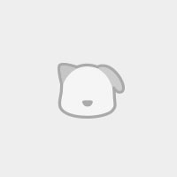 딩독 강아지 장난감 삑삑이 노즈워크 대파 인형